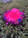 Lanhua Cowboy Hat