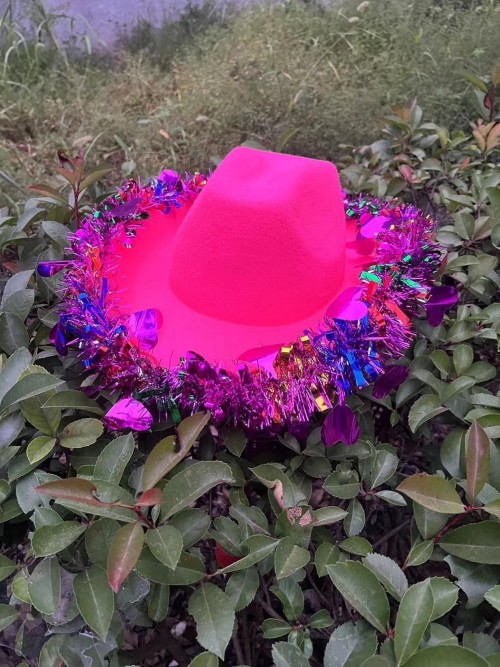 Lanhua Cowboy Hat