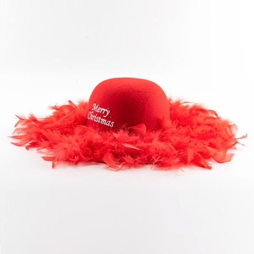 Christmas Hat