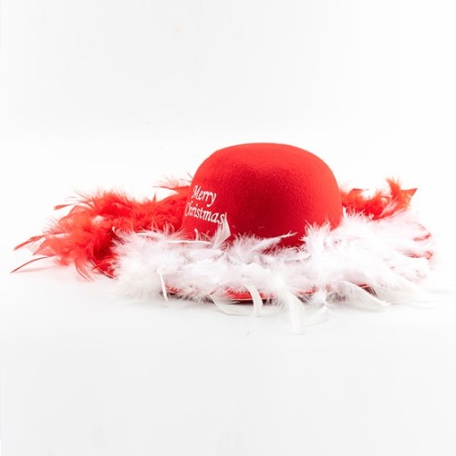Christmas Hat