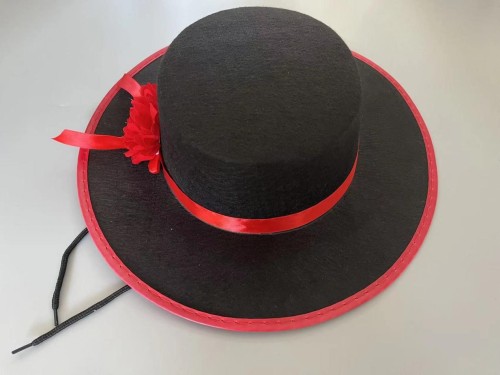 Mexican style felt hat, ball party, ball performance hat, Zoro hat