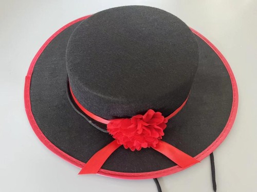 Mexican style felt hat, ball party, ball performance hat, Zoro hat
