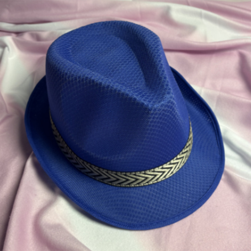 Mesh Cap