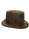 Halloween Hat