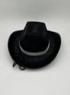 Cowboy Hat